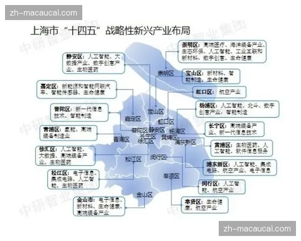 社会资本正从单一项目投入转向集群化布局 夯实产业基本盘